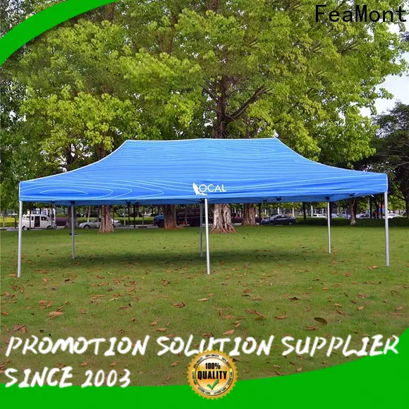 FeaMont splendid 10x10 canopy tent