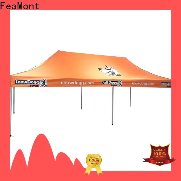 FeaMont nice easy up tent for engineering