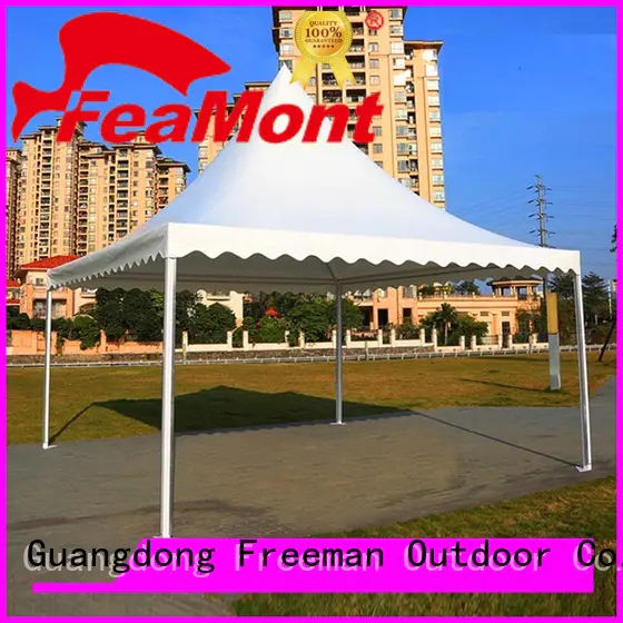 FeaMont folding 10x10 canopy tent for sporting